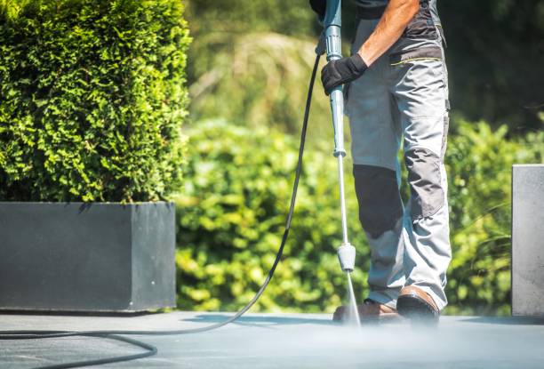 Reliable Freeland, MI Pressure Washing Services Solutions